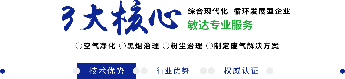 操逼爆出白浆的视频敏达环保科技（嘉兴）有限公司